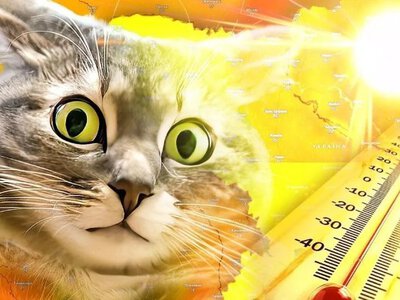 Прогноз погоди на липень: коли чекати на +40