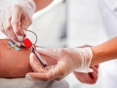 Учені відкрили нову групу крові. Вона є лише в однієї жінки на Землі