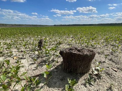 Найтоксичніші зони України: де ховається смертельна загроза для всіх нас!