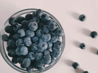 Ціни на лохину в Україні стрімко падають
