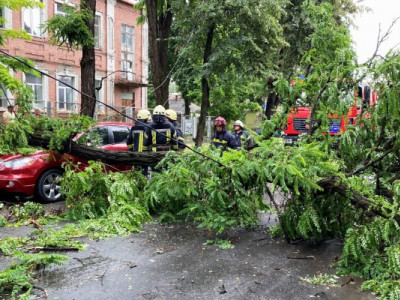 Тисячі людей без світла, повалені дерева і зірвані дахи: стихія накоїла лиха