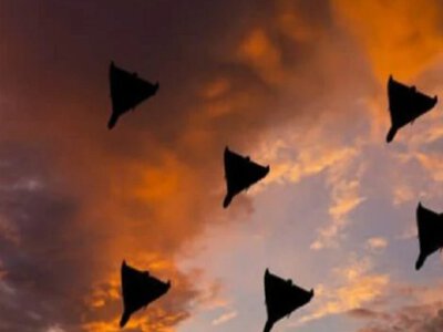Кількість жертв ворожої атаки на Чернівці збільшилась до чотирьох. У лікарні померли ще двоє людей