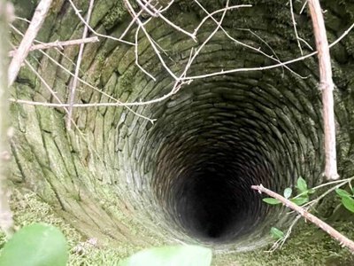 Чоловік виявив в лісі дивні колодязі: що всередині