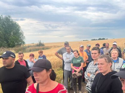 3-річна дівчинка загубилася серед поля пшениці – її шукали понад 6 годин