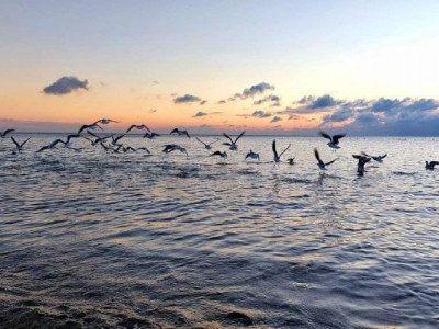 Температура морської води в Одесі: чи можна купатися