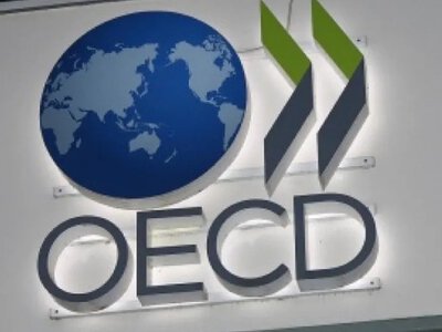 В ОЕСР попередили Україну про наслідки через скандальний закон щодо НАБУ