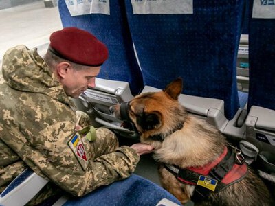 Укрзалізниця змінила правила перевезення тварин