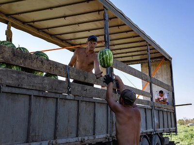 Поле бою — не метафора: шокуюча правда аграріїв Херсонщини