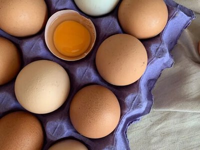 Цієї помилки припускаються майже всі: чому не можна зберігати яйця у дверцятах холодильника