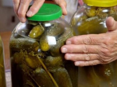 Скільки солі на трилітрову банку огірків: як приготувати хрумкі квашені огірки