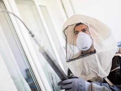 У США біля ядерного комплексу виявили радіоактивне гніздо ос