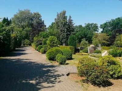 У Німеччині на цвинтарі у землі Шлезвіг-Гольштейн заборонили ховати людей