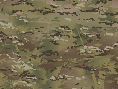 ЗСУ переходять на новий камуфляж — замість «пікселя» буде «мультикам»