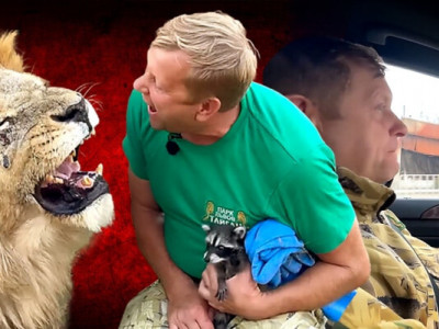 «Навіть не крадіжка, а грабіж». Як Олег Зубков «рятує» тварин в окупованих регіонах України