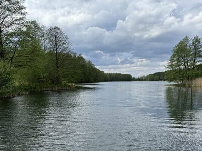 На ХАЕС оприлюднили результати моніторингу стану навколишнього природного середовища