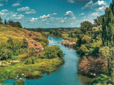 Масовий мор риби на Росі: що приховують влада і чому вода стала смертельною?