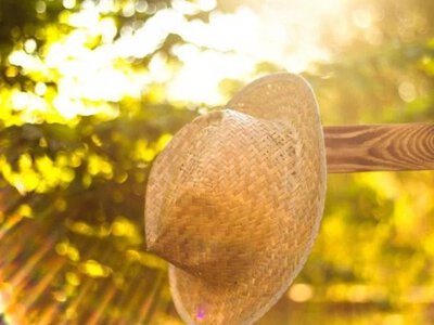 В Україну йде серпнева спека: розігріє навіть захід країни (карта)