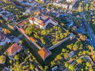 12 замків Закарпаття: які з середньовічних фортець можна оглянути та які не пощадив час