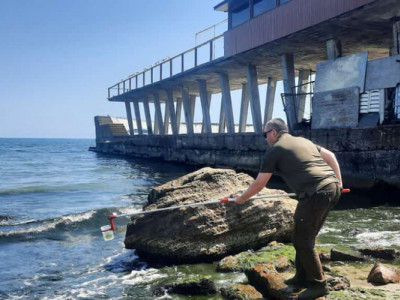 Чому «цвіте» море біля одеських пляжів – екологи назвали причину