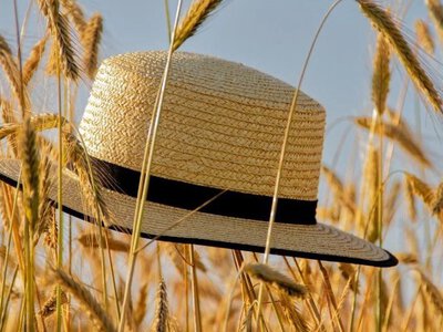 Літо в Україні триватиме понад 5 місяців: кліматологиня зробила невтішні прогнози
