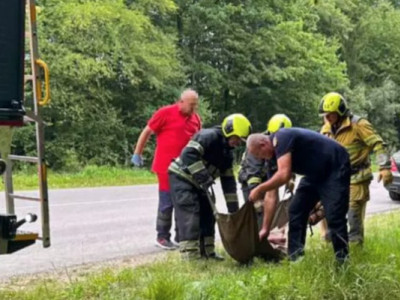 ДТП у Сторожинці: рятувальники вирізали постраждалих з автівки