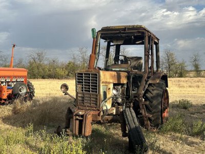 З попелу до життя: як фермер відроджує знищене рашистами господарство