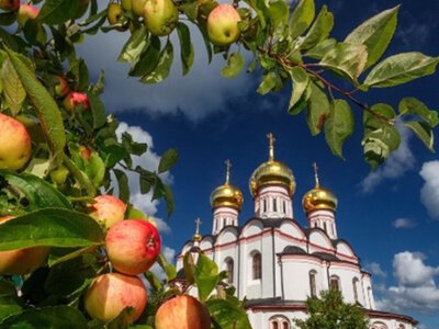 Серпнева холоднеча затримається на кілька днів: коли потепліє?