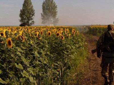 29 серпня — День пам’яті захисників України