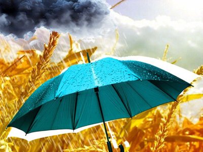 Погода бавиться в рулетку: чим вразять українців вихідні та 1 вересня