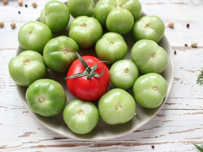 Ми їмо їх щодня: 4 продукти, які можуть бути токсичними