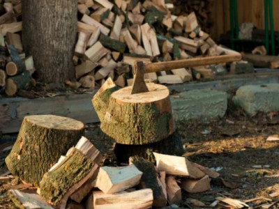 Чи штрафують за зберігання дров без документів