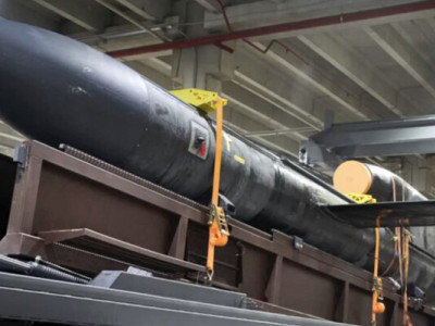 Українська крилата ракета Фламінго існує і вже запускається в серію