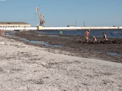 На лівобережжі Херсонщини заявили про зростання кількості туристів цього року на 80%