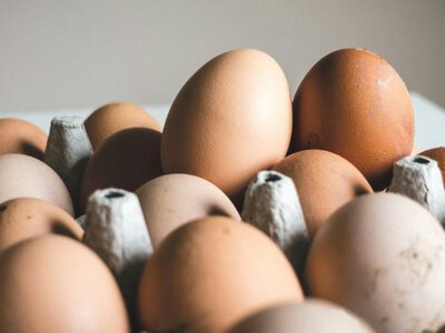 У Франції скандал з українськими яйцями: їх вимагають зняти з продажу через небезпеку