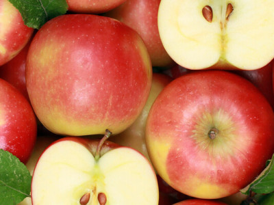 Дешевих яблук в Україні більше не буде: чому українці платитимуть більше