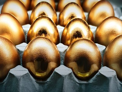 «Золоті яйця»: завершено розслідування справи розкрадань на продуктах для ЗСУ