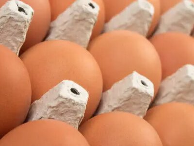 Україна за 8 місяців експортувала майже 1,4 млрд яєць