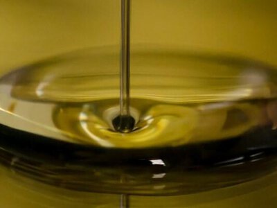 Світовий експорт рослинних олій у 2025/26 МР зросте на 3,3 млн тонн завдяки високому попиту