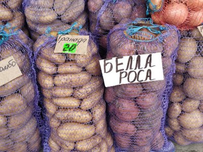Де в Україні найдешевша картопля?
