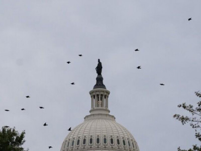 У США почався шатдаун, уряд країни зупинив роботу