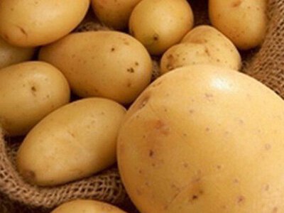 Яких цін слід очікувати на картоплю