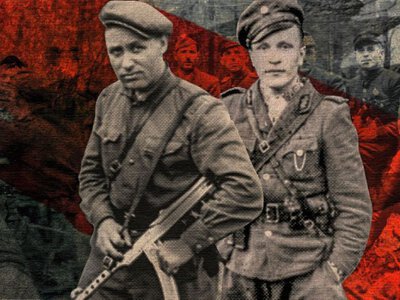 Історики в Україні відреагували на законопроєкт Навроцького щодо ОУН та УПА