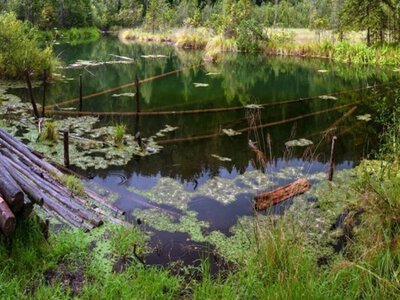 Озеро-примара: в Україні раз на 10 років з'являється унікальна водойма