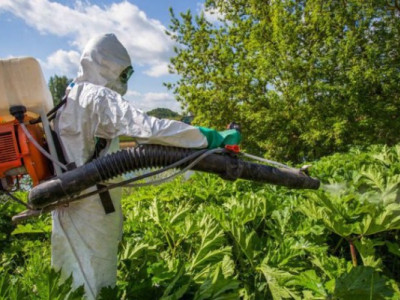 Косили — не бачили: як комунальники освоюють кошти у селах громади