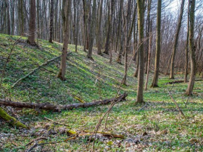 Містика та історія: чому Траянів вал приваблює дослідників і туристів