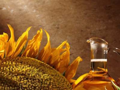Переробка соняшнику у 2024/25 МР скоротилася через нестачу сировини — «Укроліяпром»