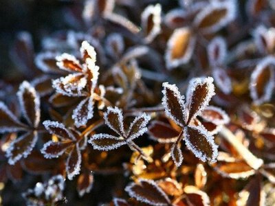 Перші морози накриють Україну: синоптики назвали регіони