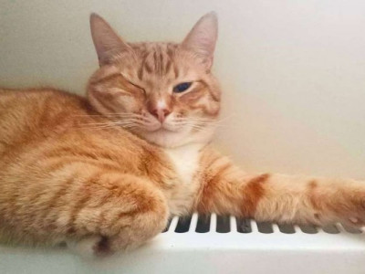 Кабмін переніс початок опалювального сезону: коли буде тепло в будинках?