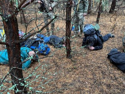 Хотіли «знайти краще життя» на чужині: прикордонники затримали групу втікачів