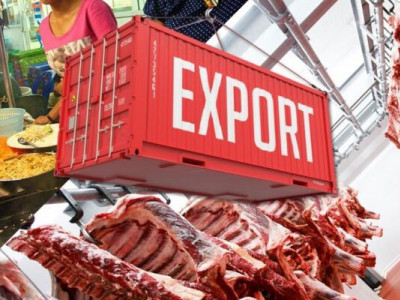 Українська яловичина підкорює ринки: рекордний експорт сезону